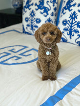 Load image into Gallery viewer, Denim Deco Duvet Cover