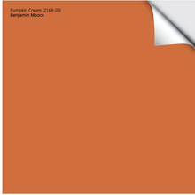 Load image into Gallery viewer, Orange Key Euro Sham